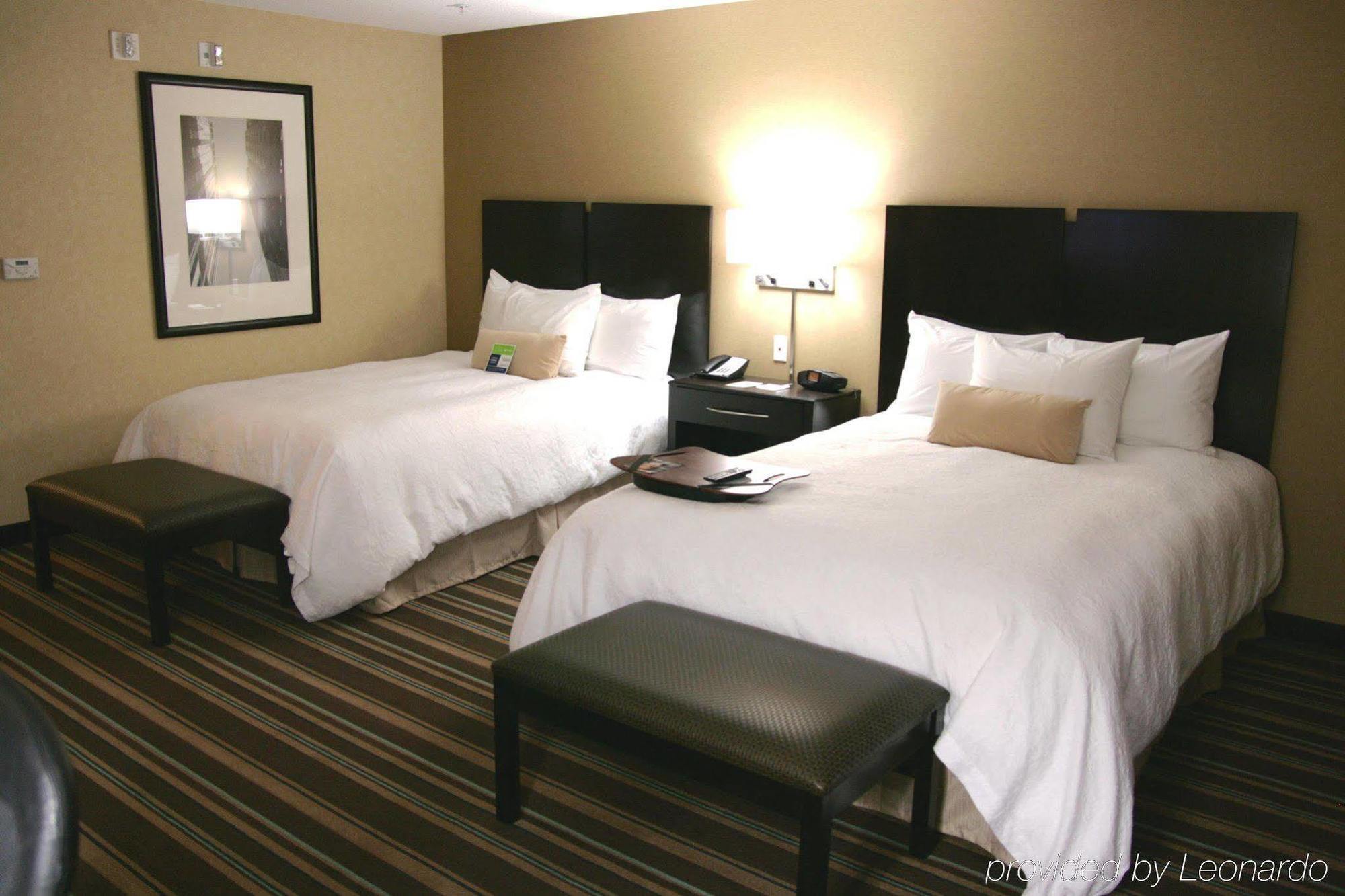 Hampton Inn And Suites Flint/Grand Blanc Habitación foto